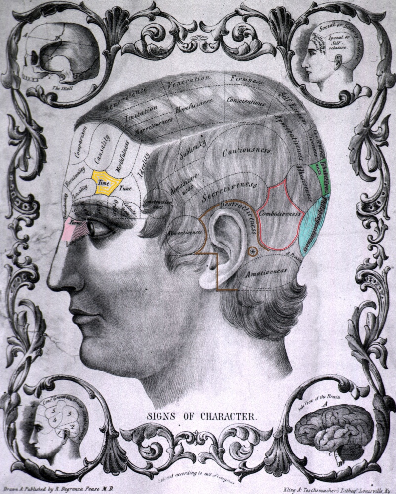 clickable image of phrenological map of the regions of the skull