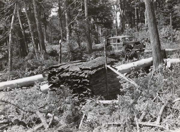 hemlock bark stacked in neat squares with a woodie station wagon nearby