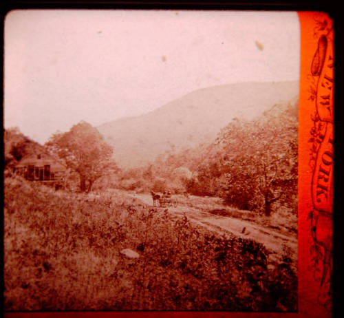 landscape photo of a horse and buggy on a dirt road